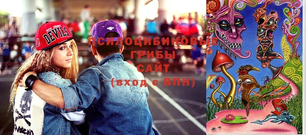 шишки Алзамай