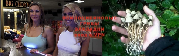 шишки Алексеевка