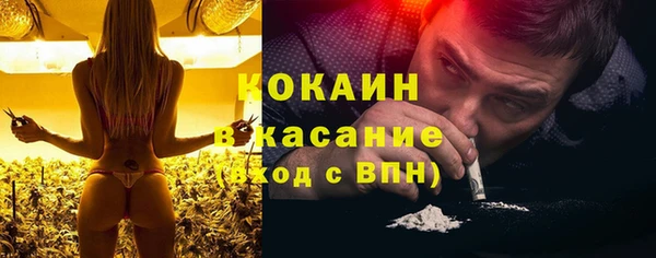 шишки Алексеевка
