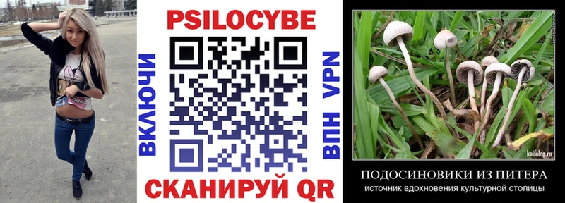 Псилоцибиновые грибы GOLDEN TEACHER купить наркотик Навашино